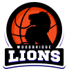 wlions_2021+Logo+Digital